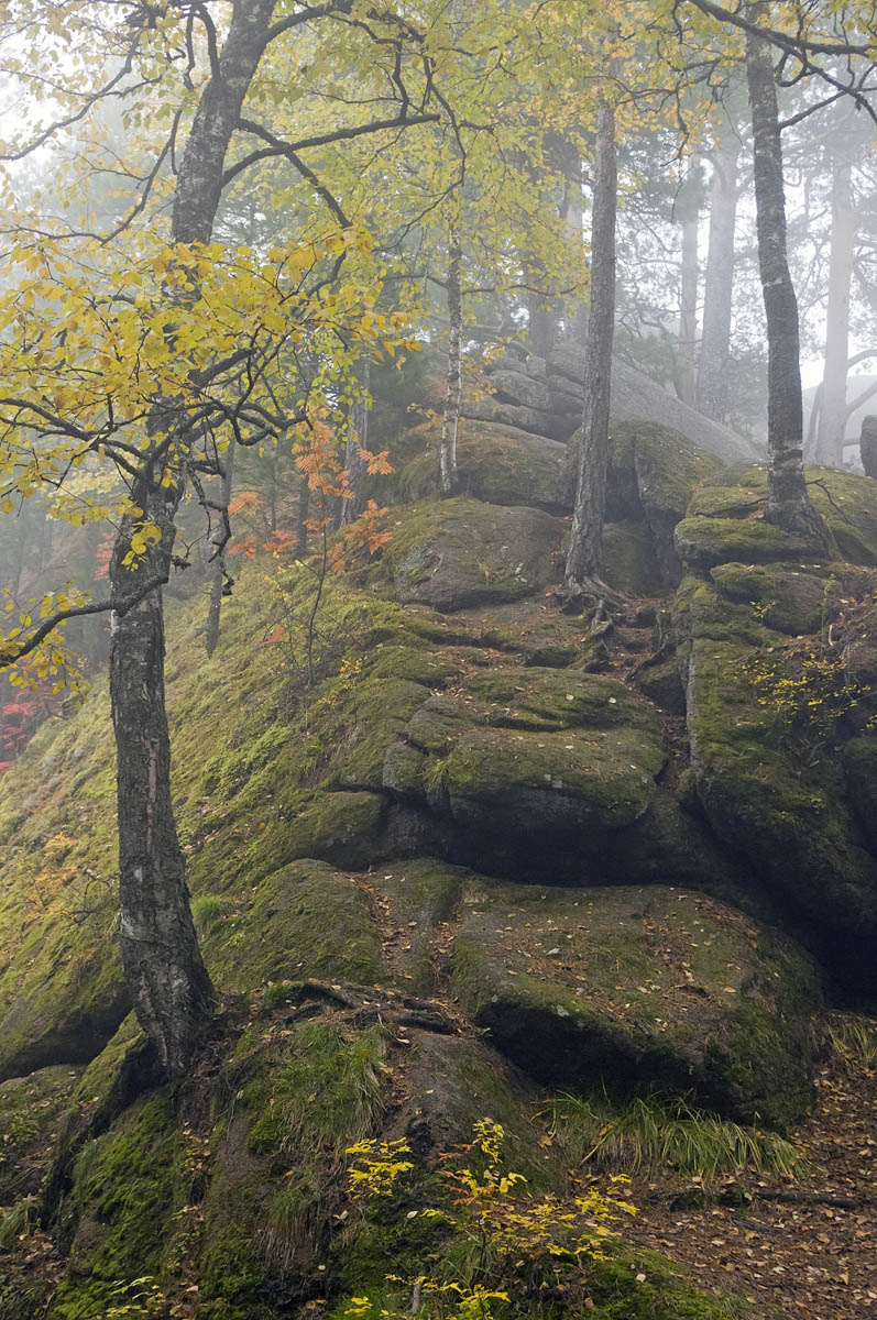 Die Krasnoyarsk Pillars
