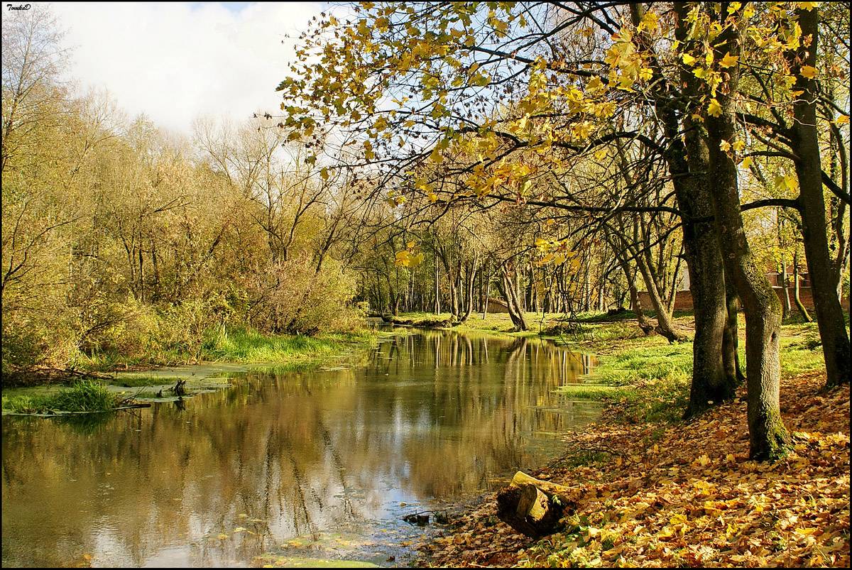 Autumn in einem allgemeinen Park