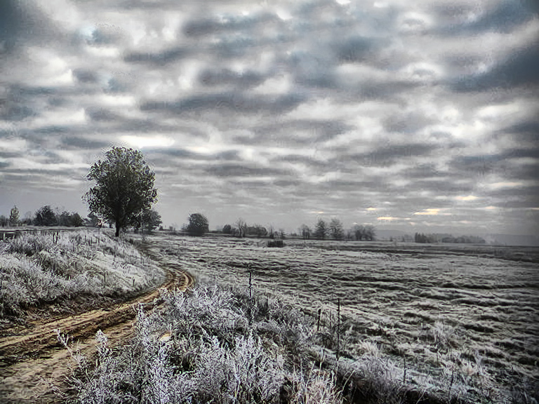 Silber in den Morgen