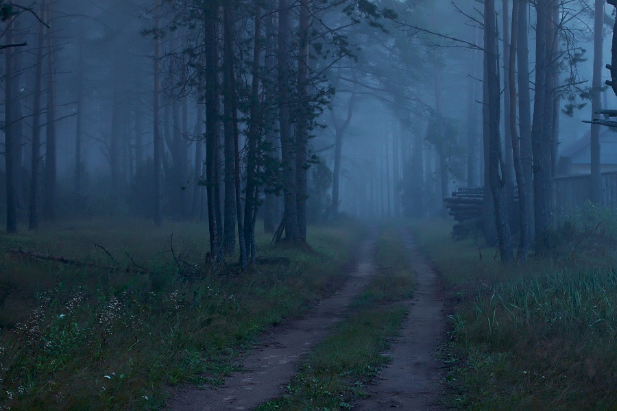 Die abendliche Stille