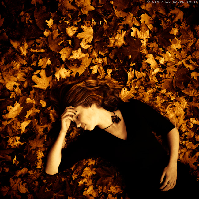 In A Moment Of Autumn