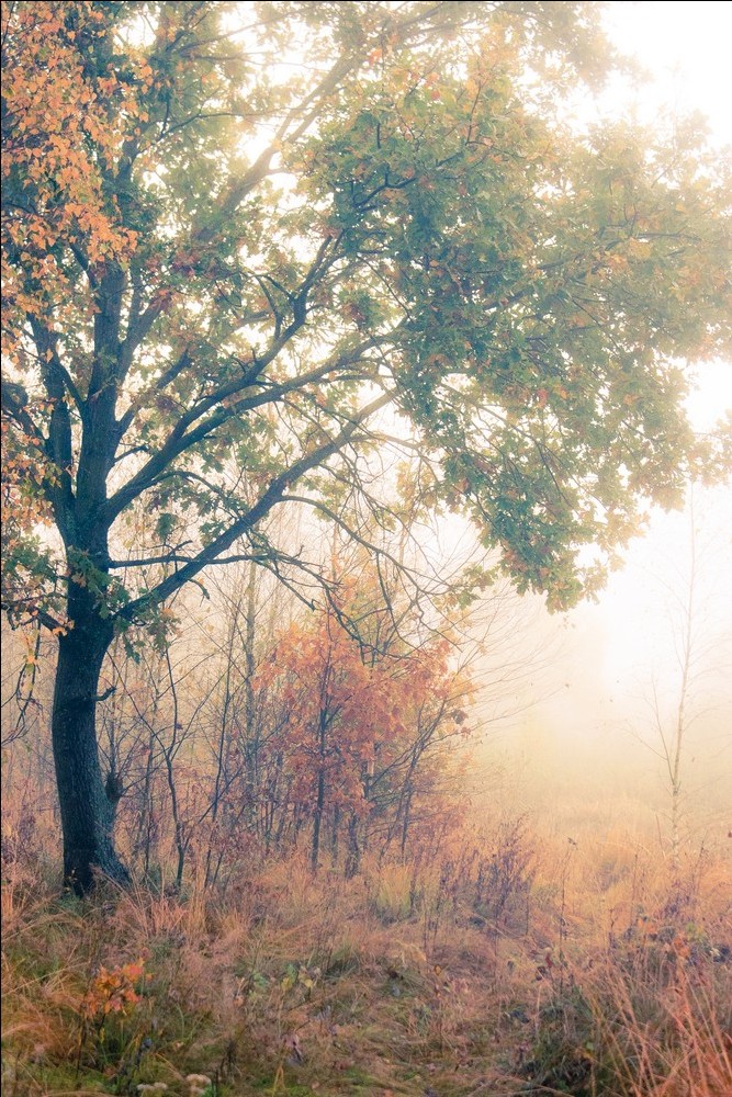 Der Beginn des Herbstes