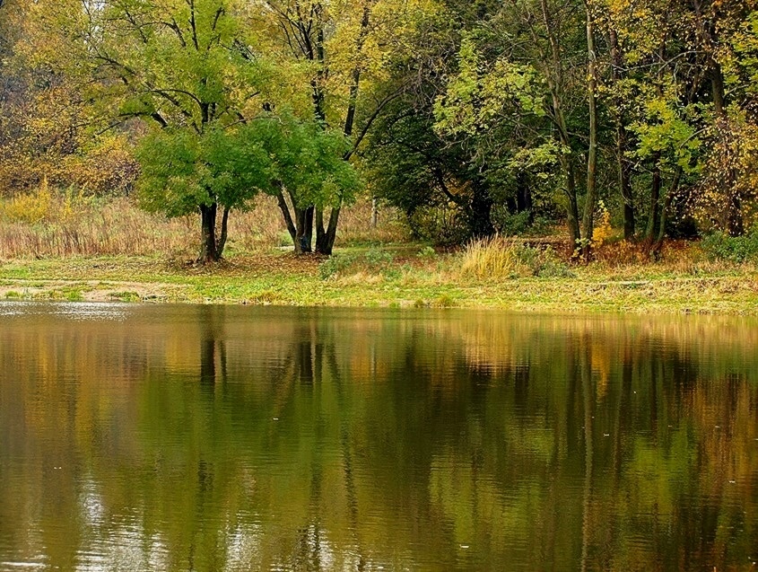 Oktober raskraski.Podmoskove