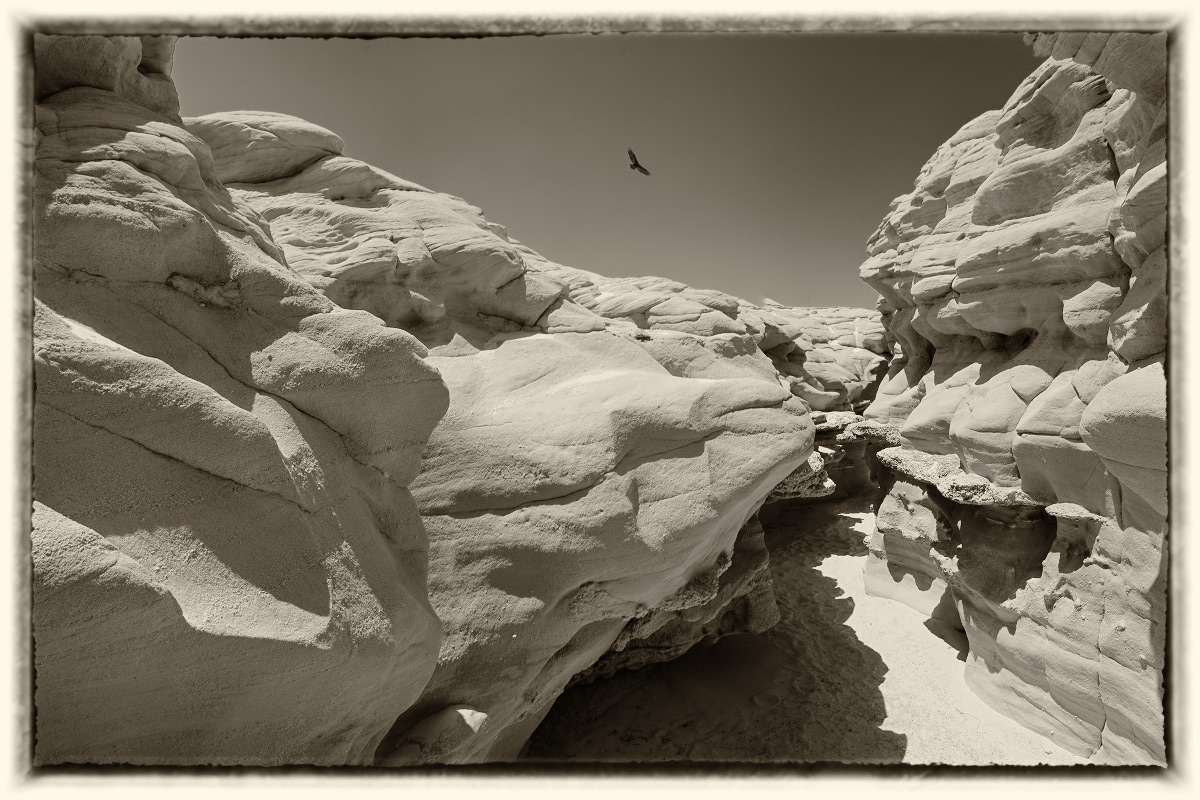 Es war ein Fluss - der Fluss wird.