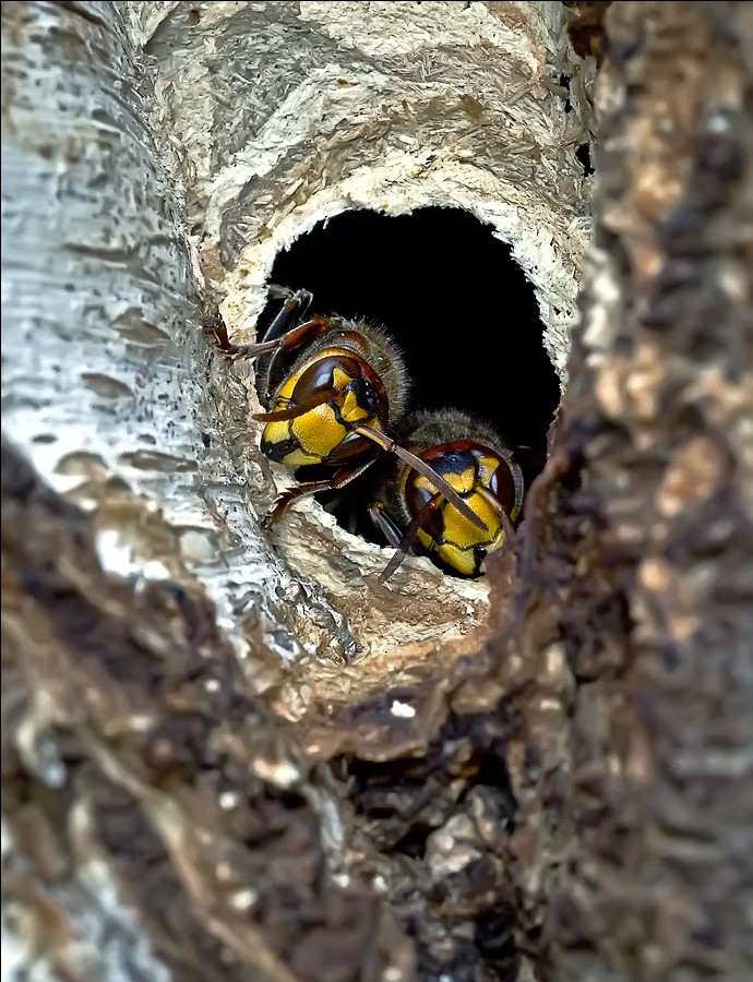 Wütend Paar (Sie uns?)