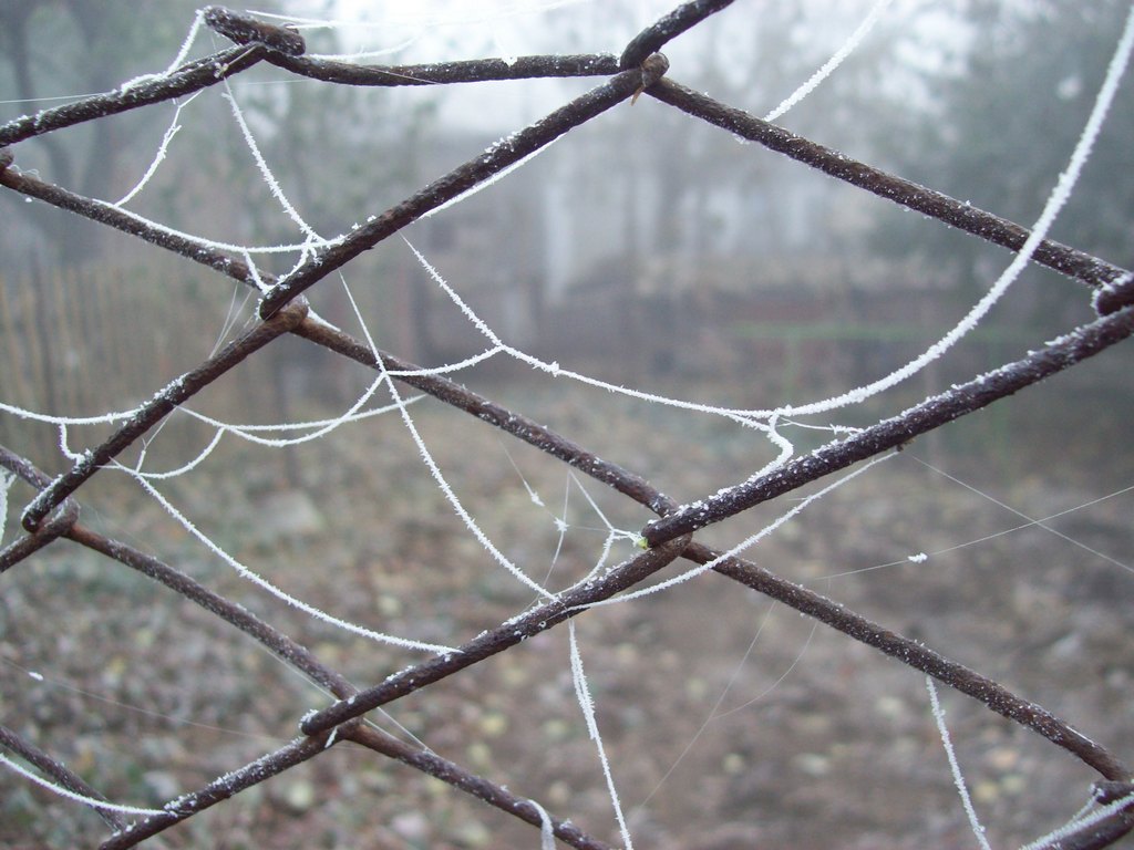 Der erste Herbst Frost