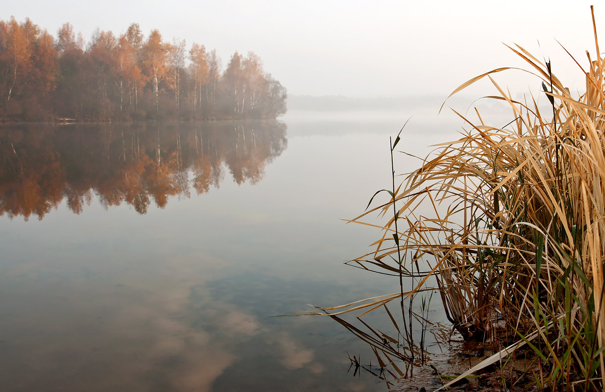 Nebel über dem Fluss