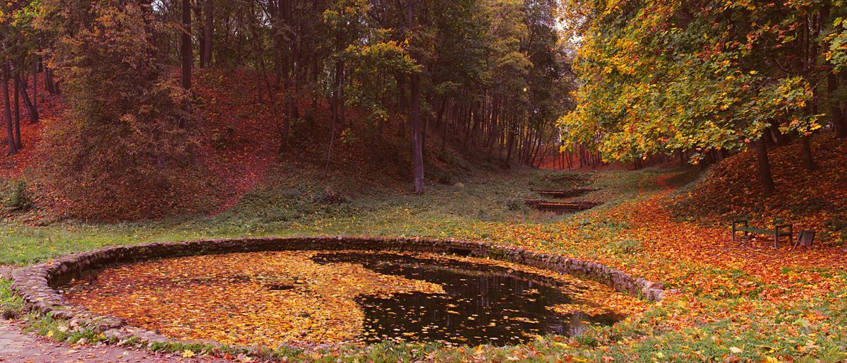 und in den alten Park auf dem Teich ...