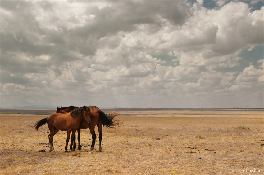 [Nature | M | Behauptung]