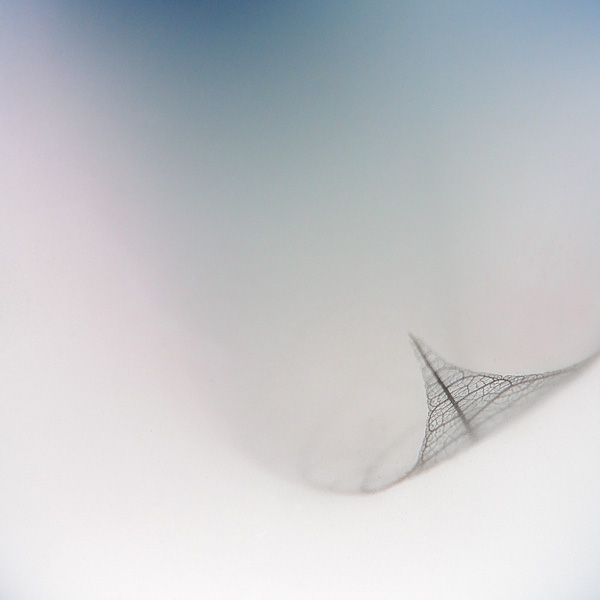 Die Reise aus dem Nichts ins Nichts