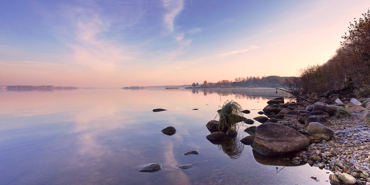 Pro Fischer ............ ...........