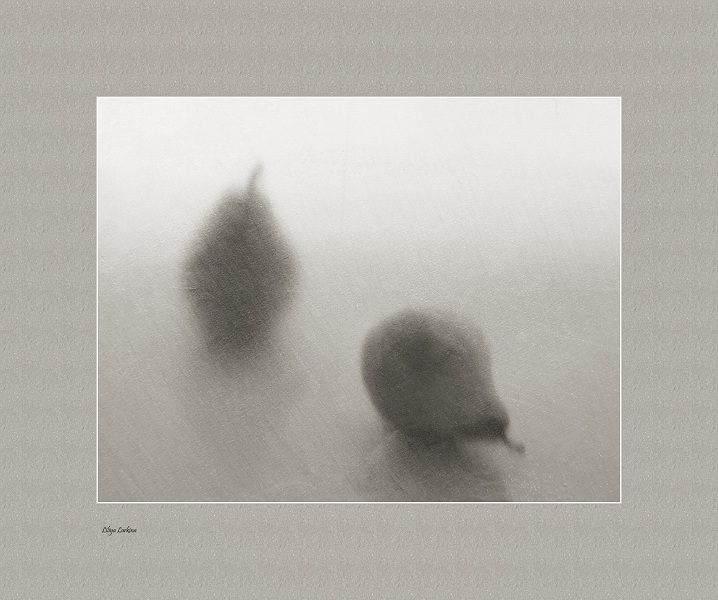 Portrait von ein paar gescheiterten