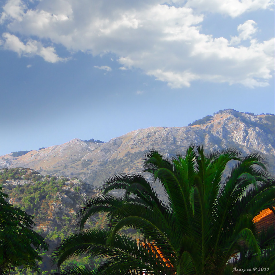 Die montenegrinische