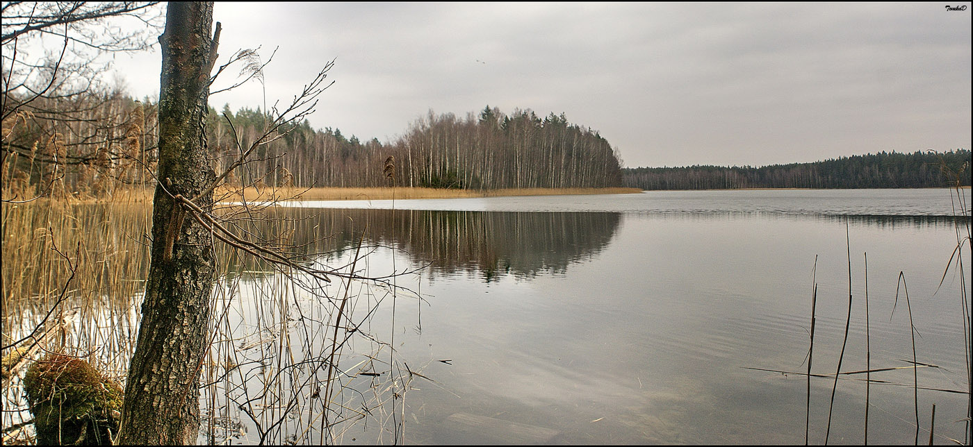 Am Ufer des Sees Glublya