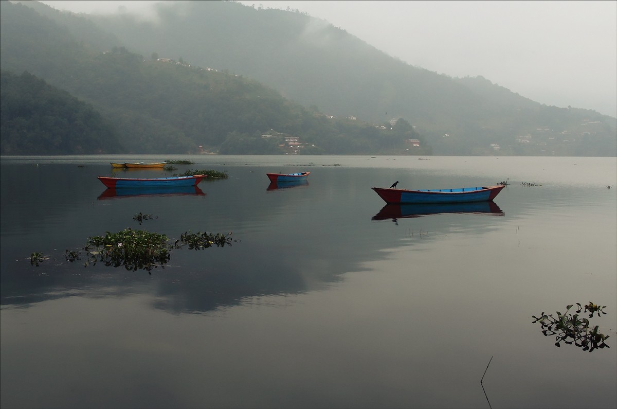 Es war nur eine Krähe ...