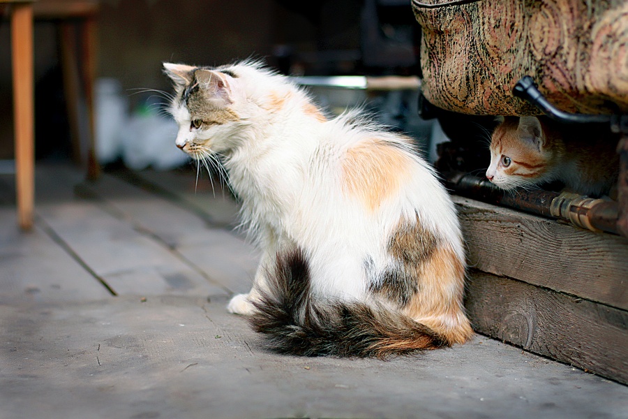 Eine verwandte Timing