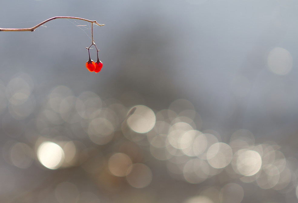 Die Aussicht auf eine rot-Licht ...