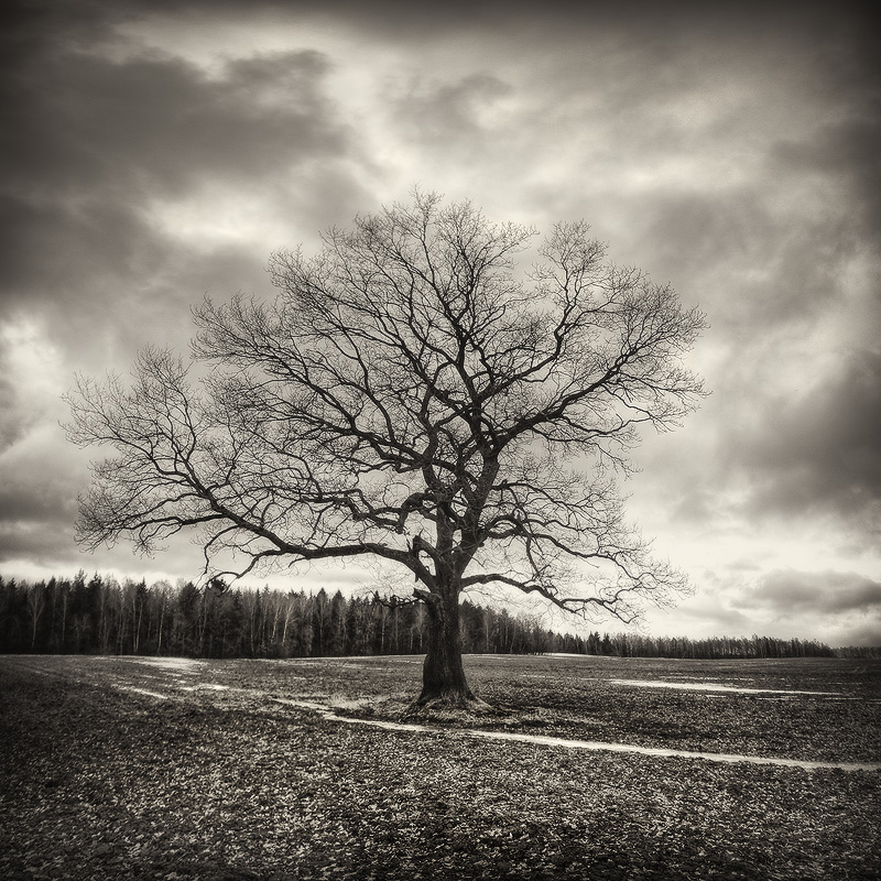 |   Eternal loneliness   |