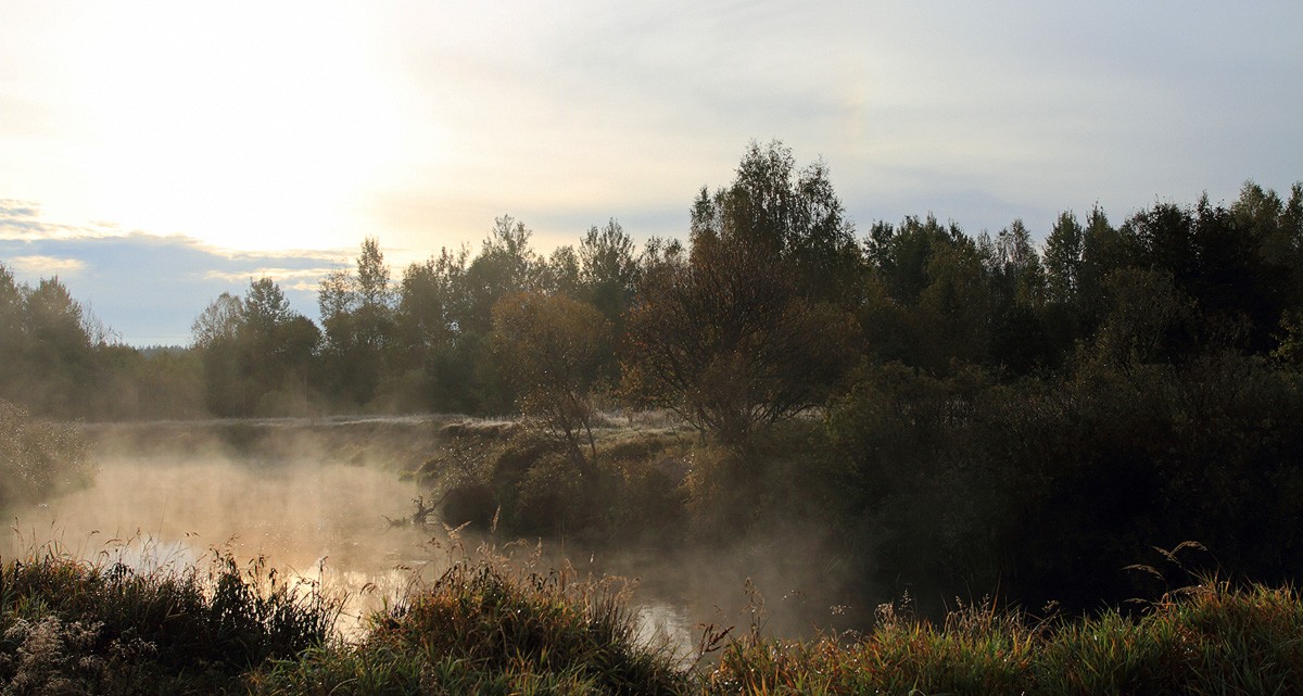 Frost und Sonne, ein schöner Tag