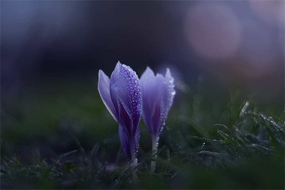 Gaben des Herbstes ...