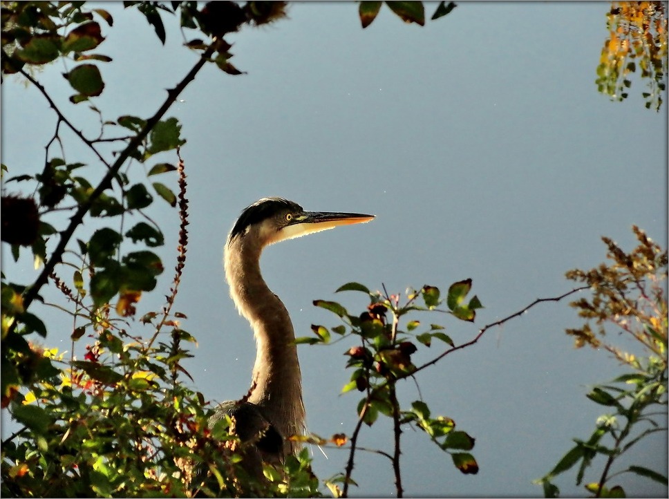 Porträt im Hintergrund