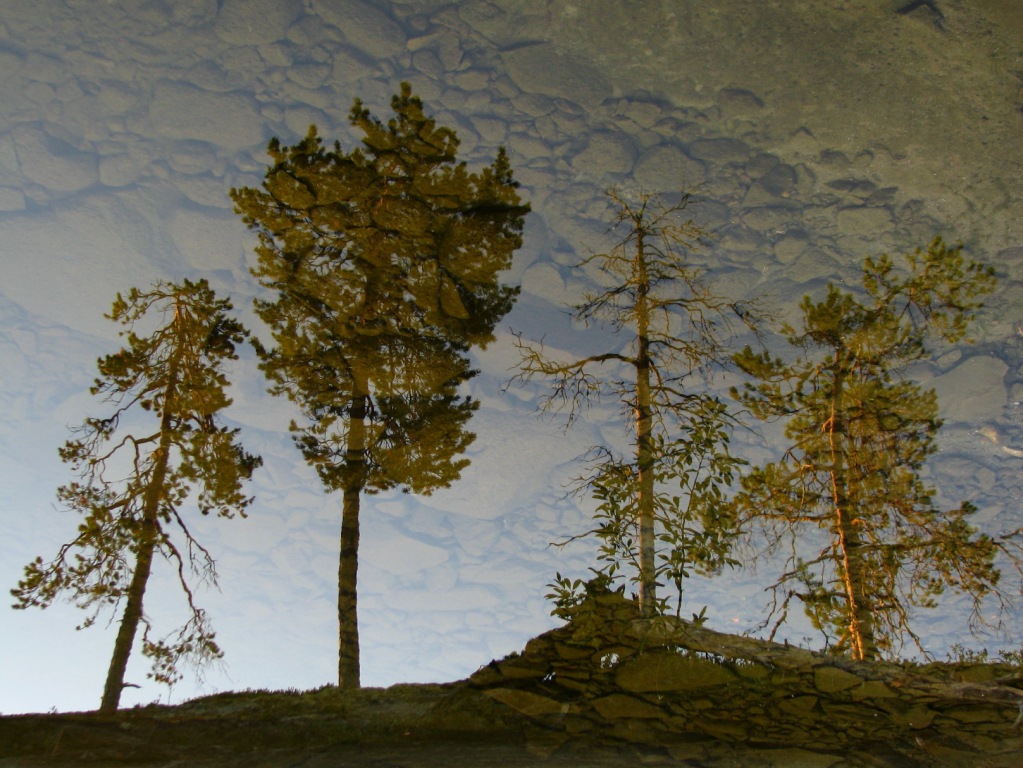 Leben durch den Spiegel