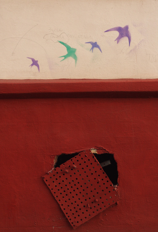 Warum kann man nicht fliegen wie die Vögel?