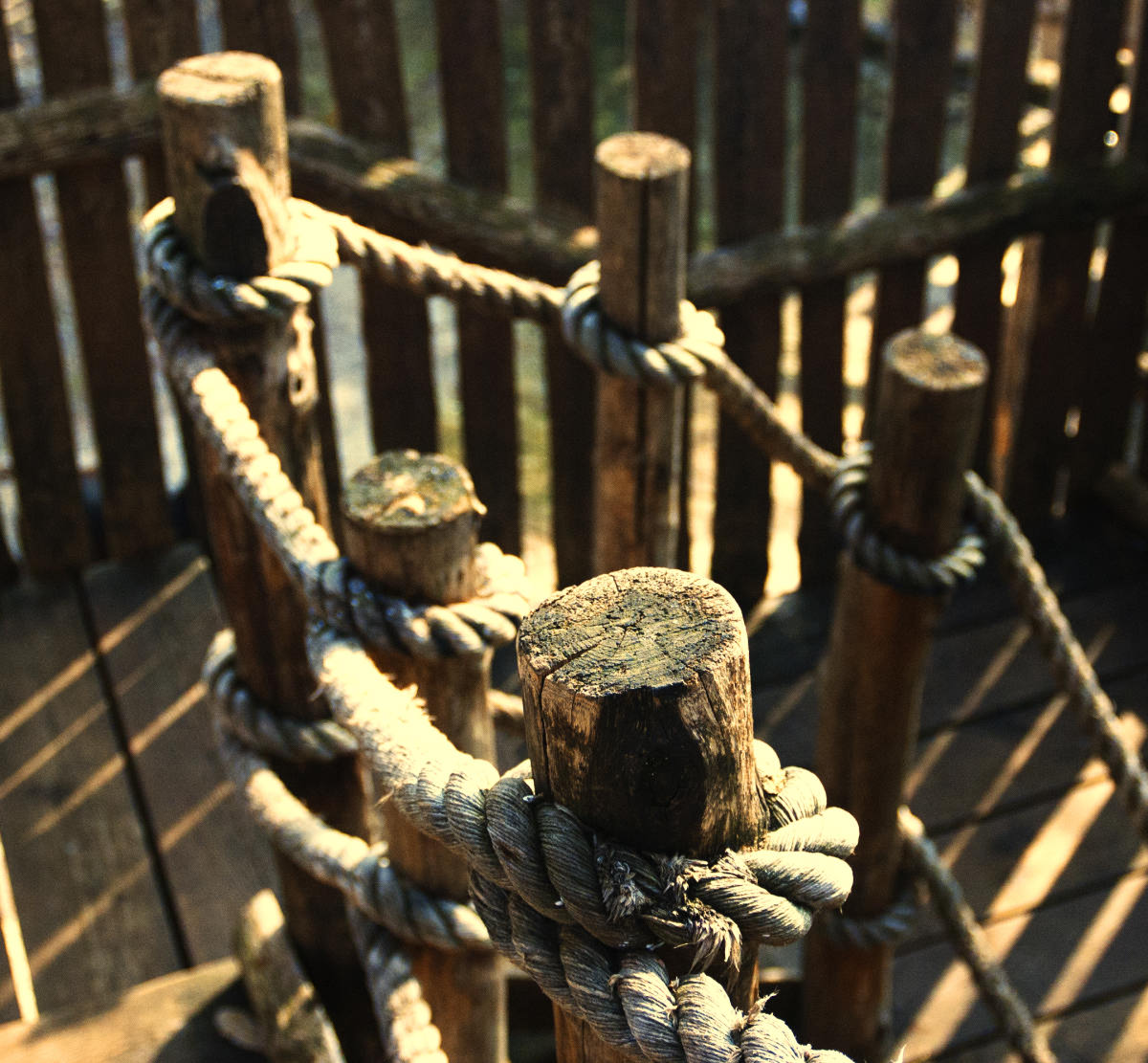 output from the country's "zoo"