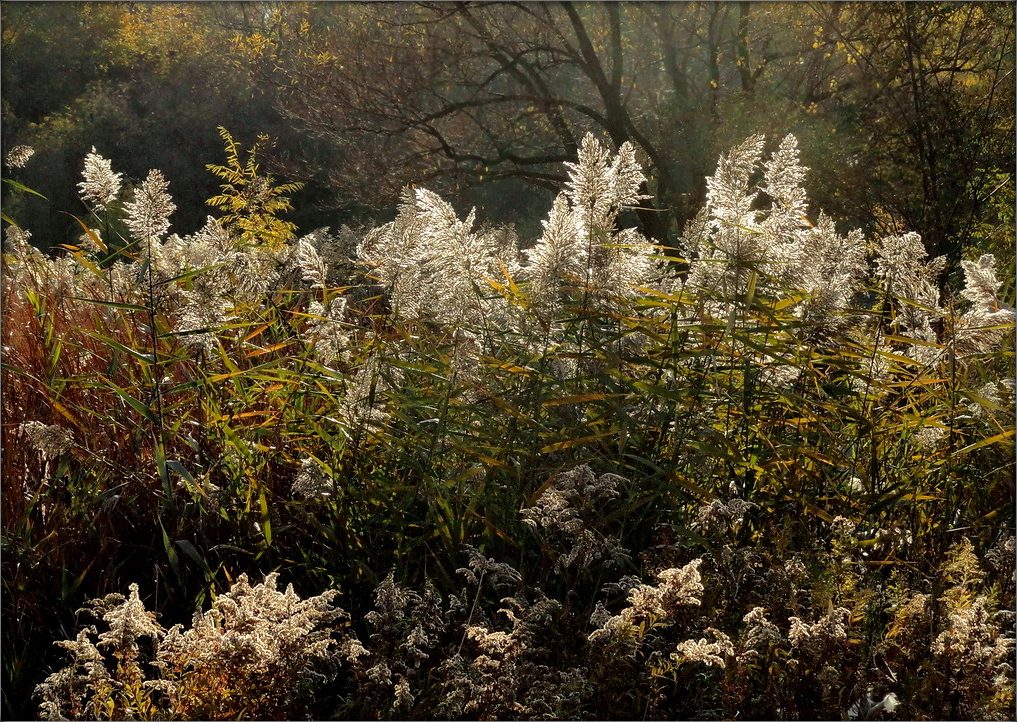 Alles, was von Sommer Linken