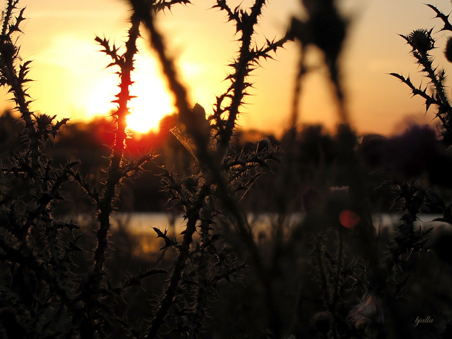 warmen Sonnenuntergang
