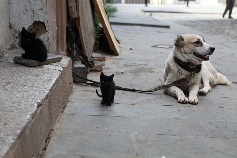 ... Drei "Spaß" Freund