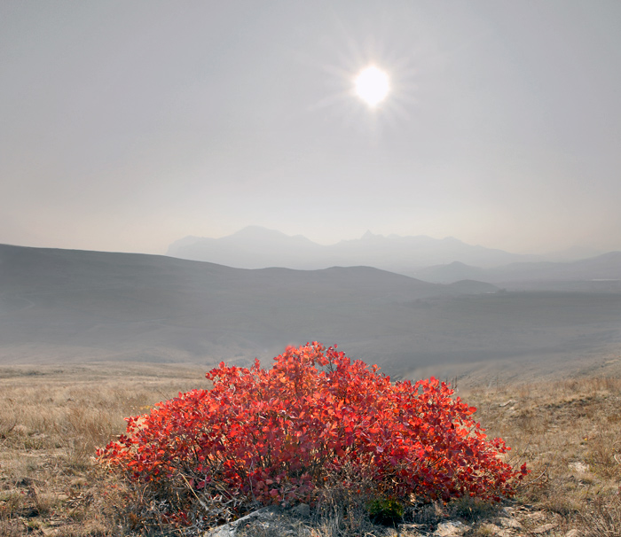 Insel Herbst Schönheit