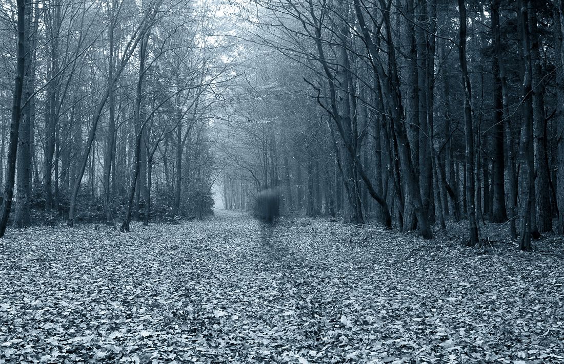 Zamkavyya zamaleouki # 2