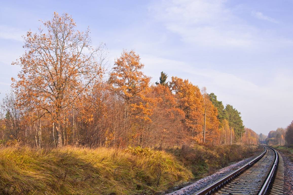Im Zuge der im Herbst