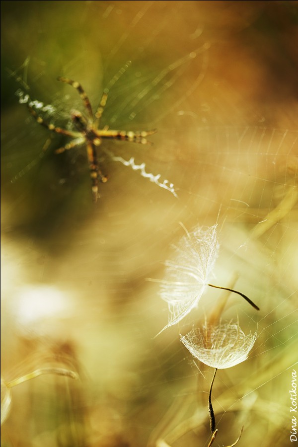 Über Schwerelosigkeit