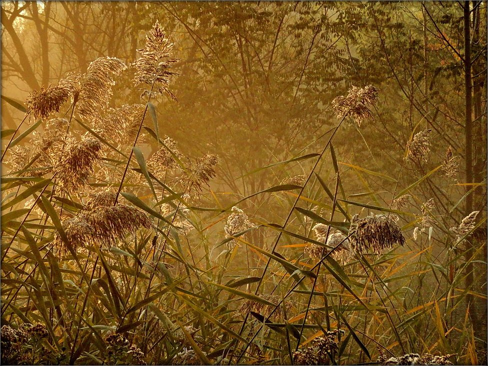 Alles, was der Sommer .. 2 Linken