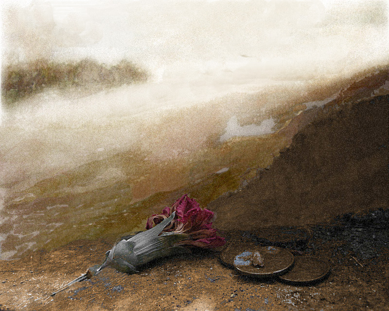 Aus den Memoiren des