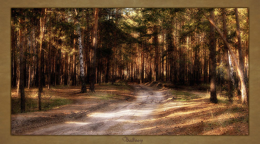 Die Art und Weise den goldenen Herbst