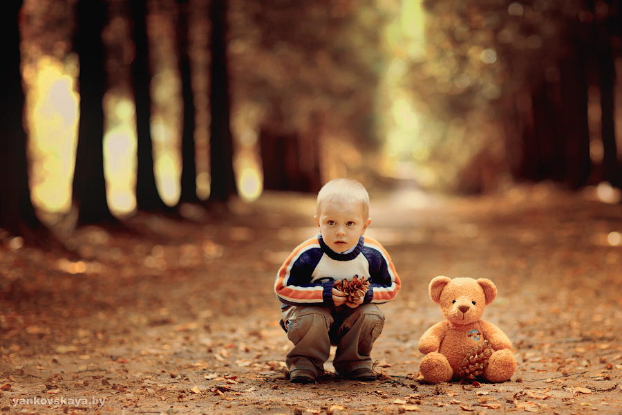 Im Wald von Tannenzapfen ...