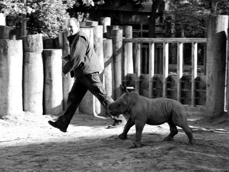"Gemeinsam fröhlich zu gehen! .." (C)