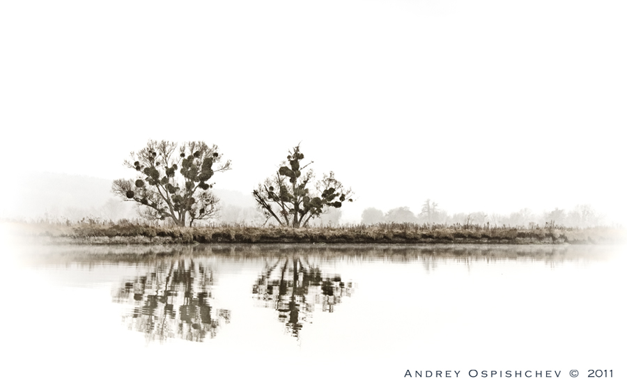 Aber auf der anderen Seite ...