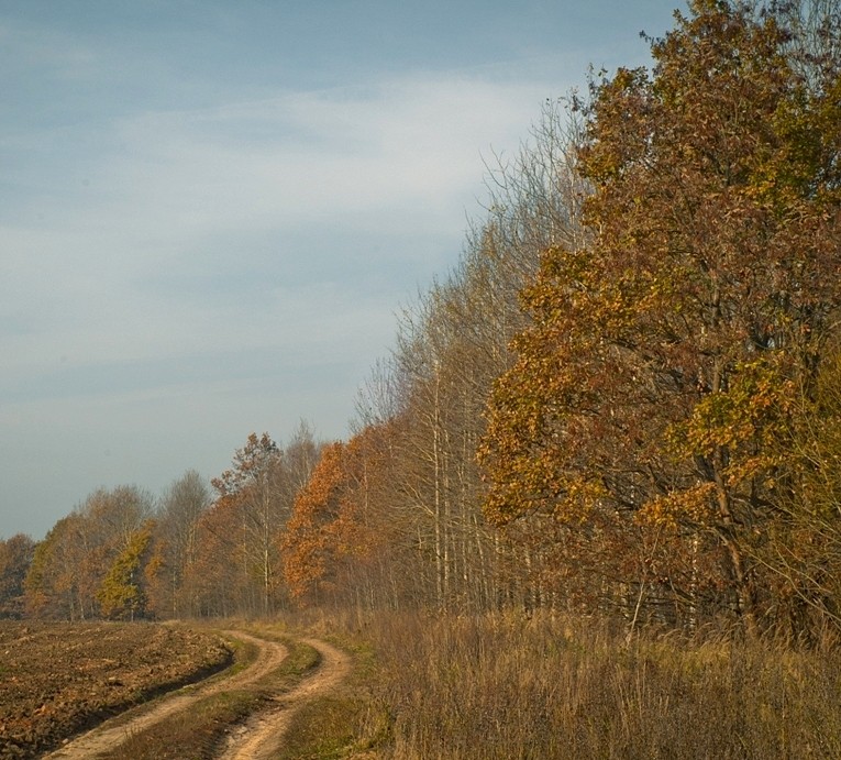 Straße zum Herbst
