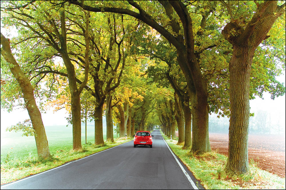 Der Weg auf die Insel Rügen (Deutschland)