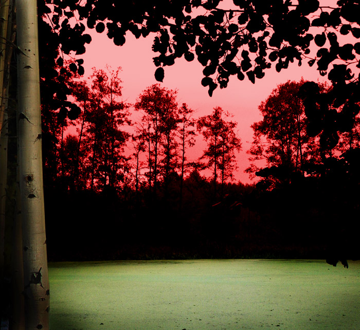 Sonnenuntergang über dem Sumpf. BSSR gewidmet.