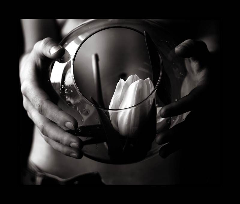 über Schwangerschaft