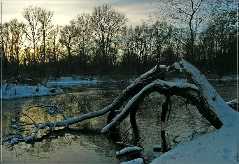 nicht leben bis zu den Anfängen ...