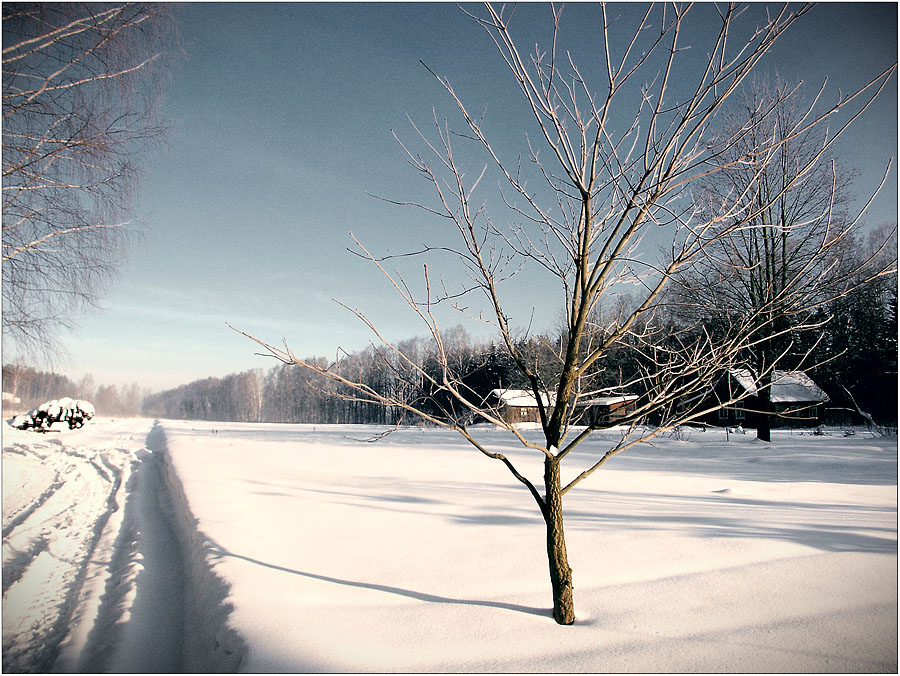 Morgen in der Grünen