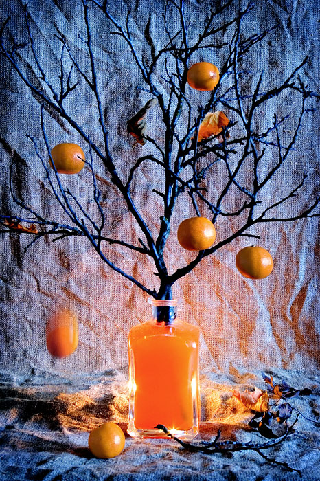 Orange Ernte