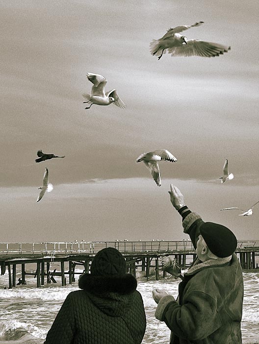 Um berühren den Himmel.
