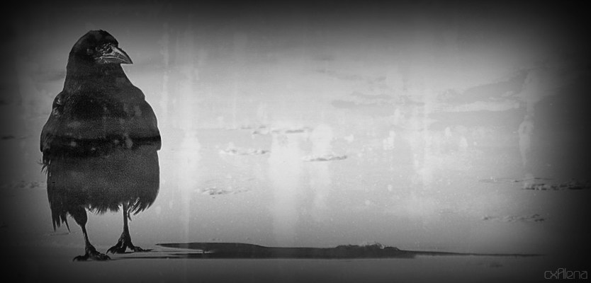 Ich und mein Schatten